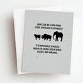 buffalo